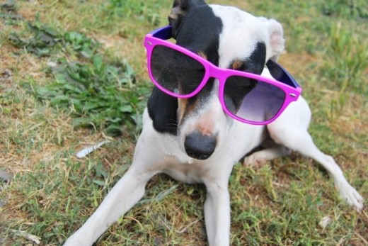 esta cansada y esta con sus lentes de sol